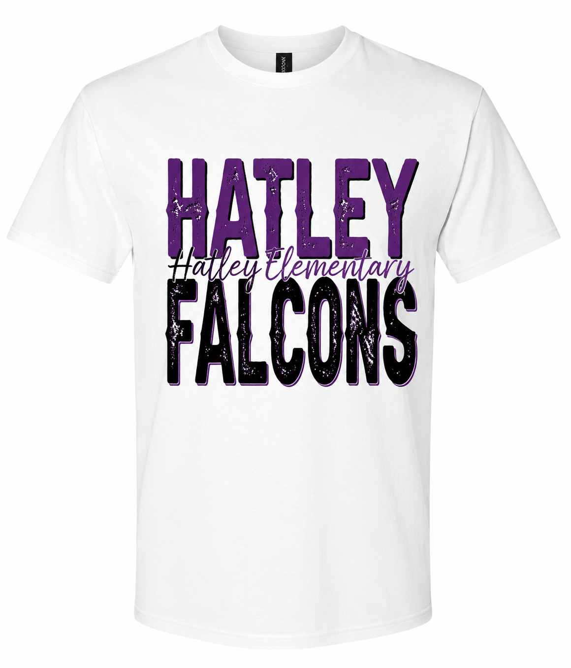 Hatley Elementary Falcons YOUTH