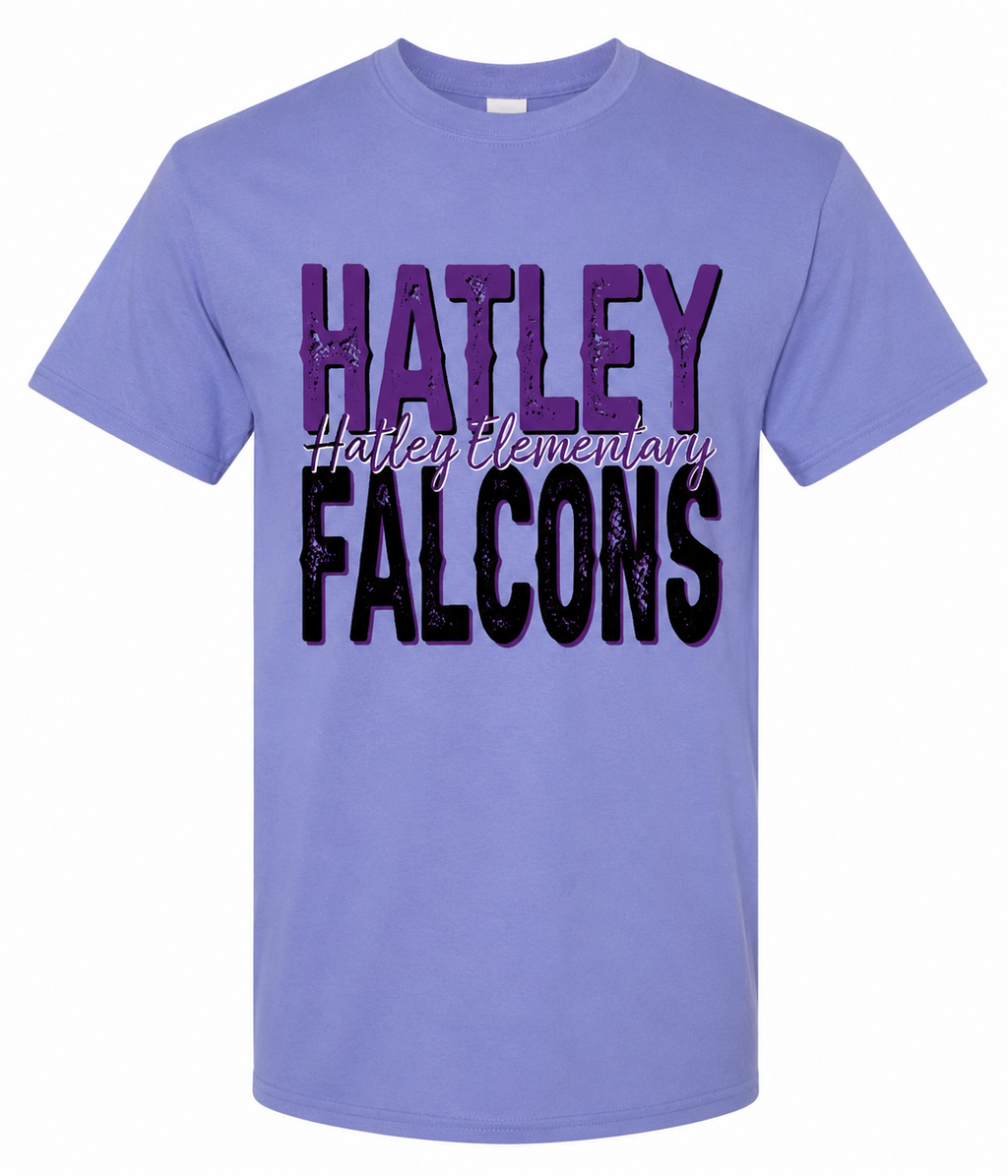 Hatley Elementary Falcons YOUTH