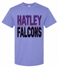 Hatley Elementary Falcons YOUTH