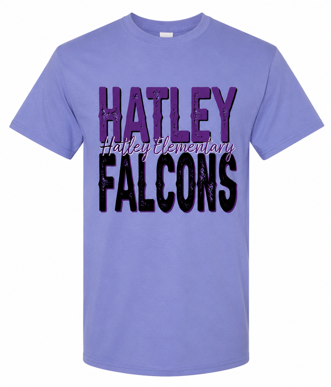 Hatley Elementary Falcons YOUTH