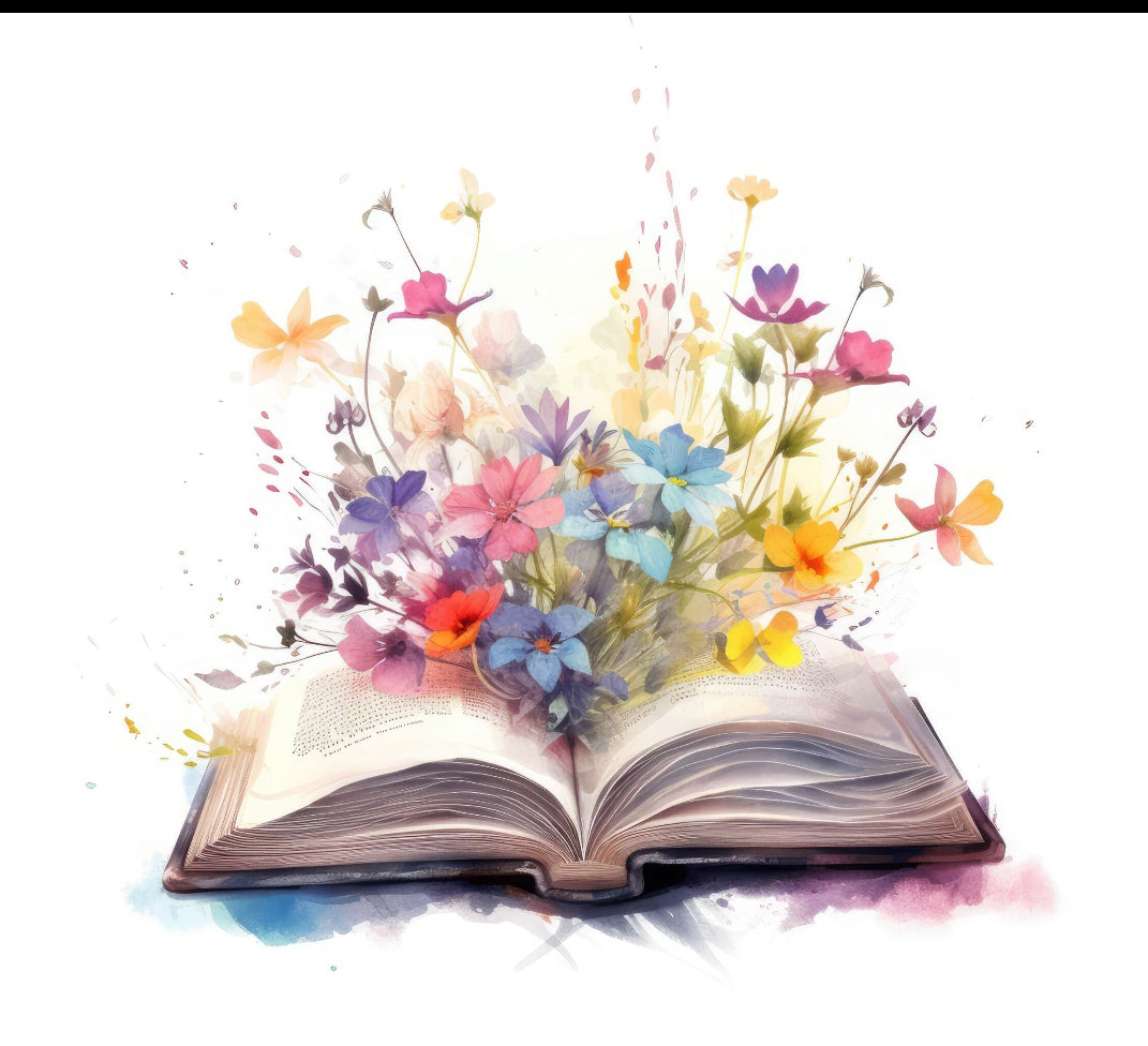 Book Mystery Box